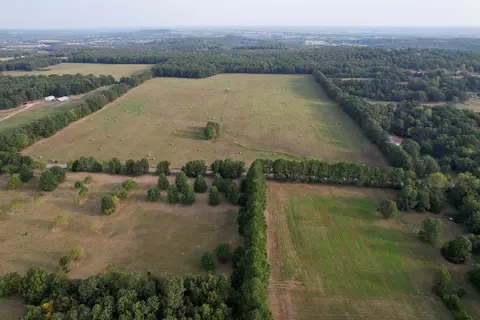 000 E Farm Road 68 #PARCEL 3, Strafford, MO 65757 photo 8