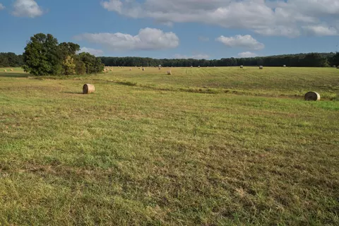 000 E Farm Road 68 #PARCEL 3, Strafford, MO 65757 photo 7