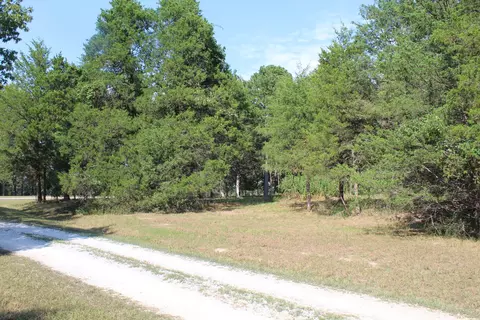 Lot 25 Airline Drive #25, Protem, MO 65733