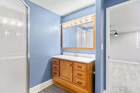 2713 W Trevor Trl, Ozark, MO 65721 photo 46
