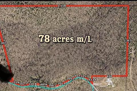 000 Pine Top Rd, Hollister, MO 65672