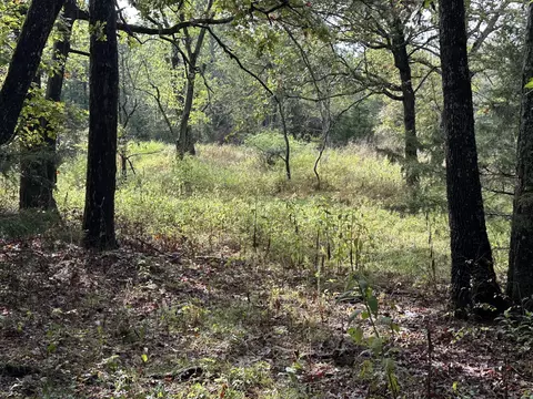 000 Carter 146, Fremont, MO 63941
