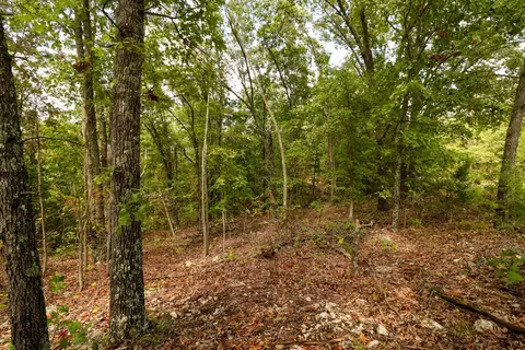 tbd Timber Cir, Tunas, MO 65764 photo 32