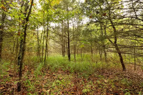 tbd Timber Cir, Tunas, MO 65764 photo 20