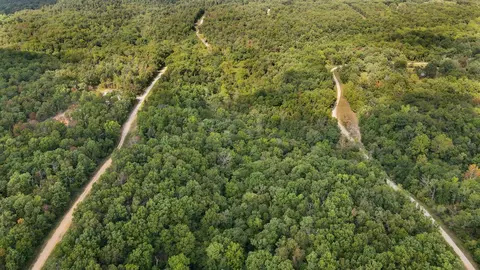 tbd Timber Cir, Tunas, MO 65764 photo 5