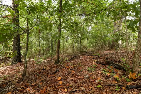 tbd Timber Cir, Tunas, MO 65764 photo 16