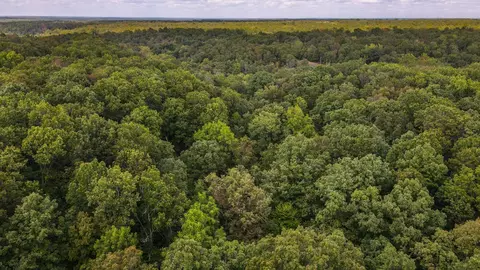 tbd Timber Cir, Tunas, MO 65764 photo 7