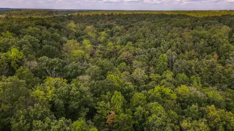 tbd Timber Cir, Tunas, MO 65764 photo 8
