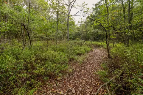 tbd Timber Cir, Tunas, MO 65764 photo 29