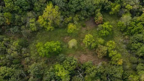 tbd Timber Cir, Tunas, MO 65764 photo 10