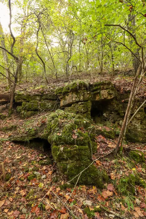 tbd Timber Cir, Tunas, MO 65764 photo 26