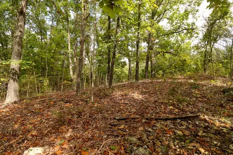 tbd Timber Cir, Tunas, MO 65764 photo 31