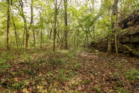 tbd Timber Cir, Tunas, MO 65764 photo 27