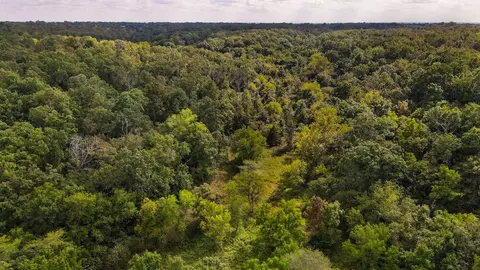 tbd Timber Cir, Tunas, MO 65764 photo 12