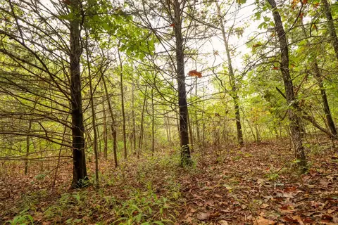 tbd Timber Cir, Tunas, MO 65764 photo 21