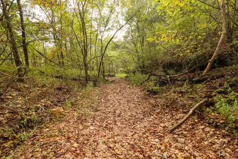 tbd Timber Cir, Tunas, MO 65764 photo 23