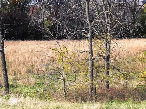 tbd N 20th St, Ozark, MO 65721 photo 13