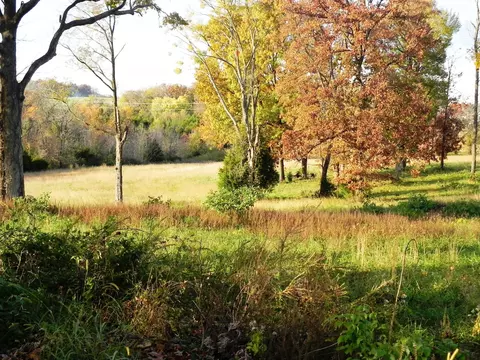 tbd N 20th St, Ozark, MO 65721 photo 11