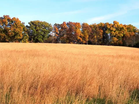 tbd N 20th St, Ozark, MO 65721 photo 5