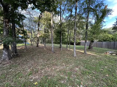 311 S Hickory St, Forsyth, MO 65653 photo 2
