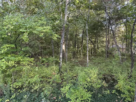 311 S Hickory St, Forsyth, MO 65653 photo 4