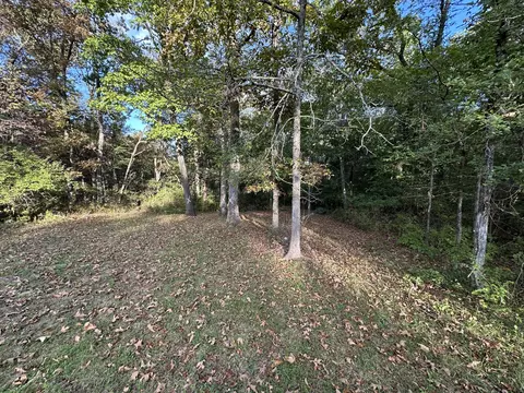 311 S Hickory St, Forsyth, MO 65653 photo 7