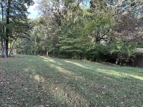 311 S Hickory St, Forsyth, MO 65653 photo 5