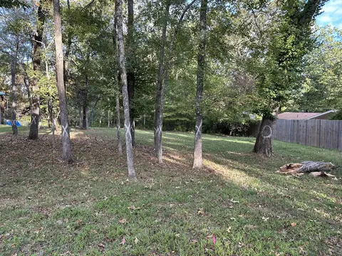 311 S Hickory St, Forsyth, MO 65653 photo 6