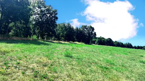 tbd Farm Road 1040, Exeter, MO 65647 photo 5