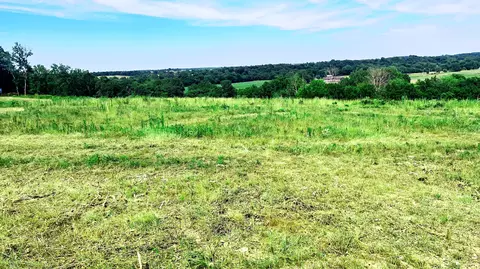 tbd Farm Road 1040, Exeter, MO 65647 photo 8