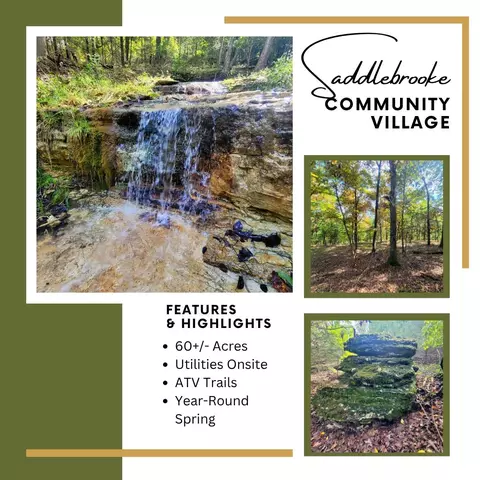 000 Dry Hollow Rd, Saddlebrooke, MO 65630
