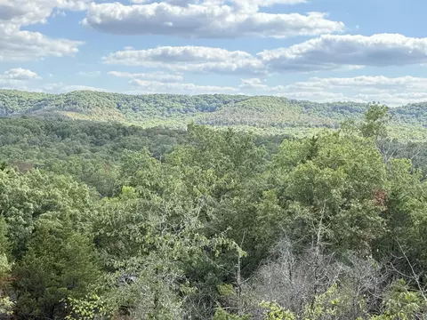 000 Mannon Rd, Ava, MO 65608 photo 2