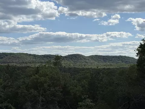 000 Mannon Rd, Ava, MO 65608 photo 3