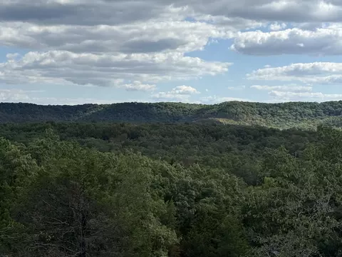 000 Mannon Rd, Ava, MO 65608