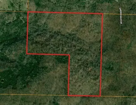000 Mannon Rd, Ava, MO 65608 photo 4