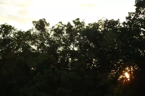 000 Brown Bend Rd, Edwards, MO 65326 photo 19