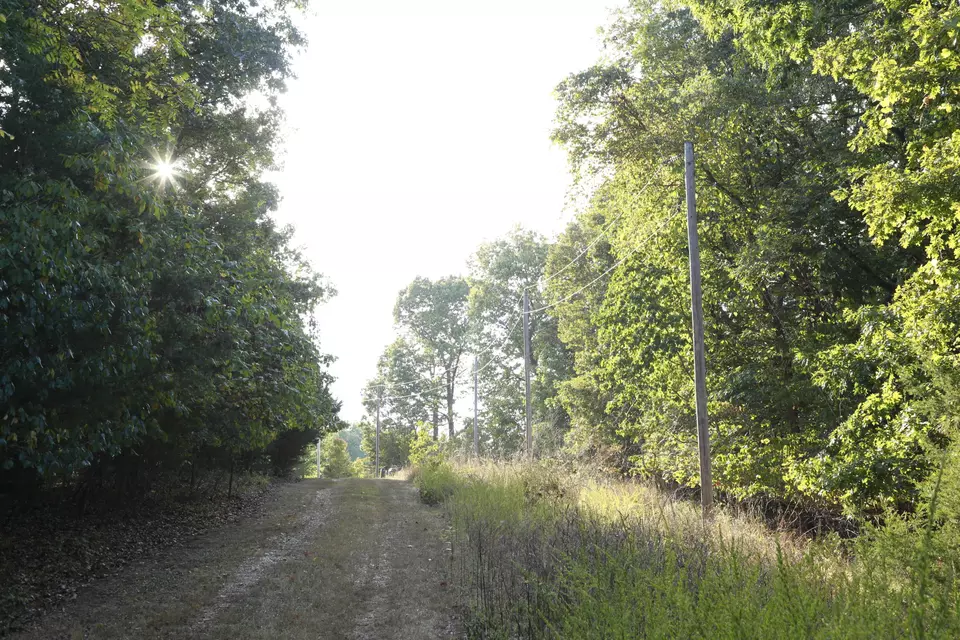  000 Brown Bend Rd, Edwards, MO 65326 photo 12