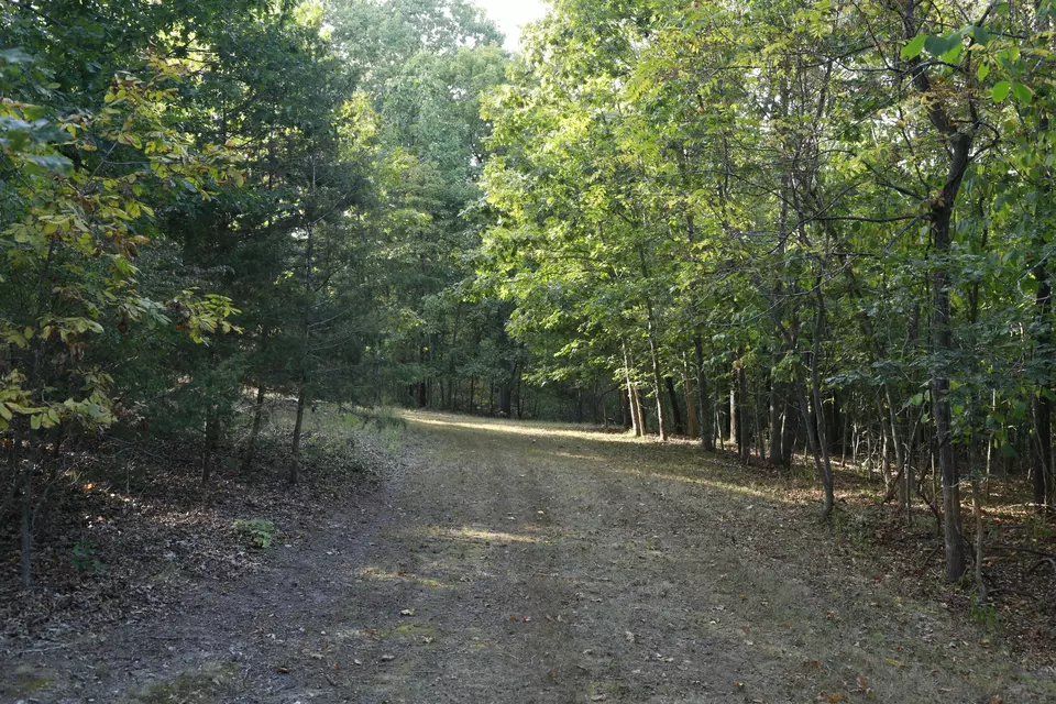  000 Brown Bend Rd, Edwards, MO 65326 photo 9