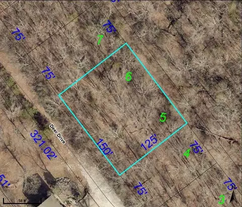 190 Deer Dr, Ridgedale, MO 65739 photo 2