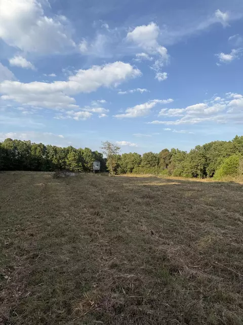 3930 Bado Rd, Cabool, MO 65689 photo 4