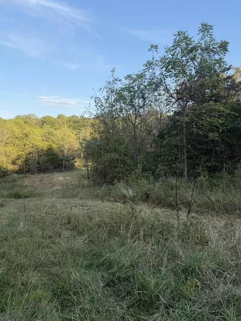 3930 Bado Rd, Cabool, MO 65689 photo 15
