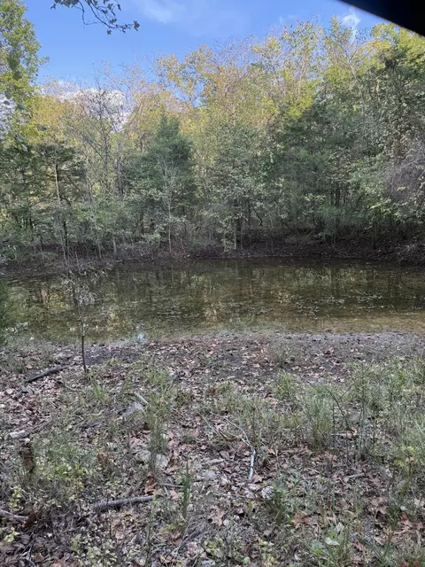 3930 Bado Rd, Cabool, MO 65689 photo 6