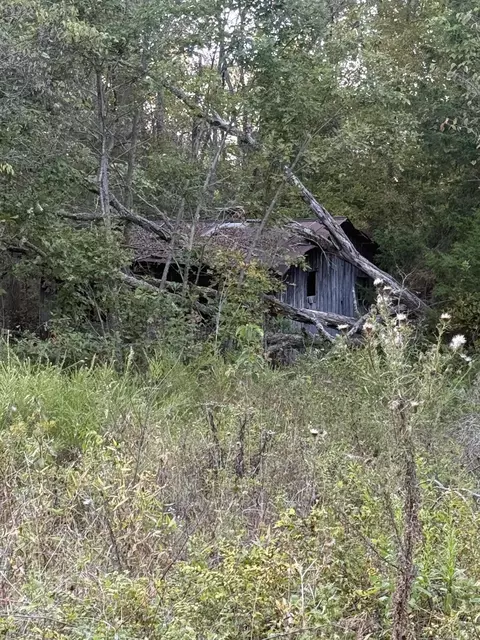 3930 Bado Rd, Cabool, MO 65689 photo 10