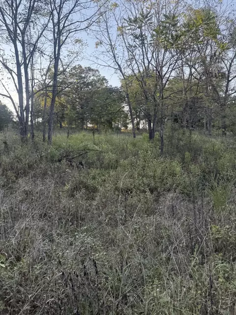 3930 Bado Rd, Cabool, MO 65689 photo 16