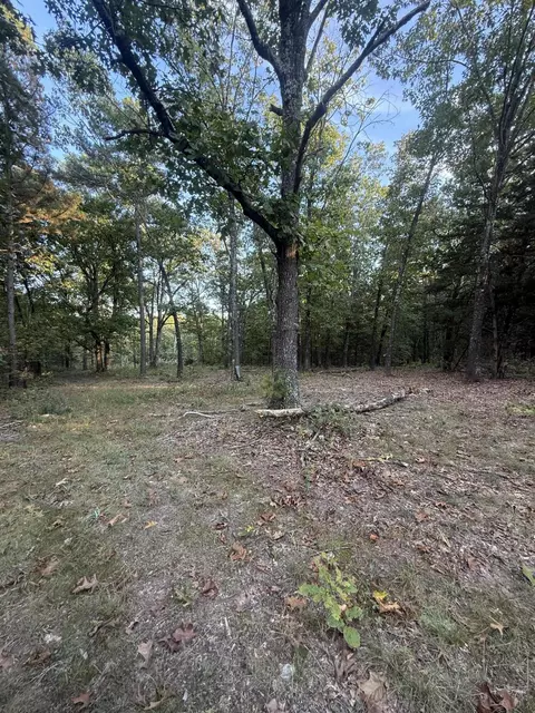 3930 Bado Rd, Cabool, MO 65689 photo 11