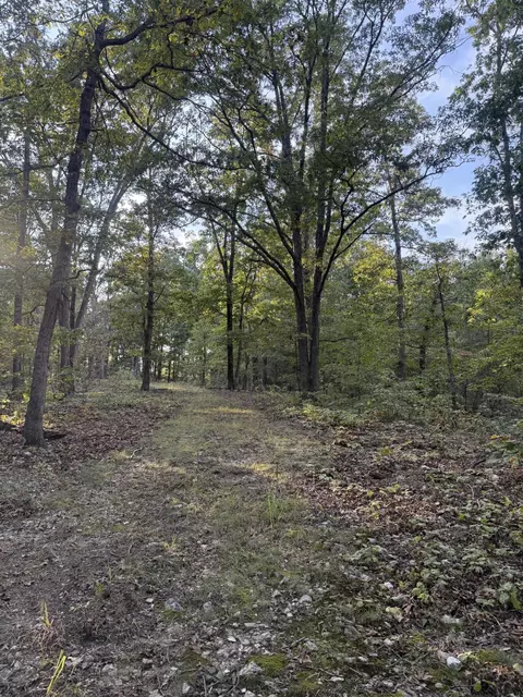 3930 Bado Rd, Cabool, MO 65689 photo 7