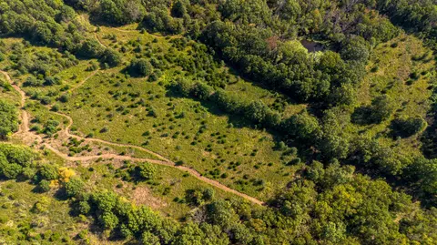 22595 S 2225 Rd, Milo, MO 64767 photo 18