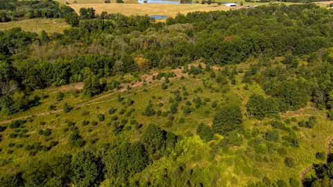 22595 S 2225 Rd, Milo, MO 64767 photo 24