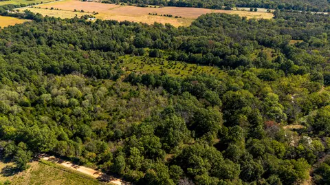 22595 S 2225 Rd, Milo, MO 64767 photo 29