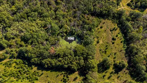 22595 S 2225 Rd, Milo, MO 64767 photo 20